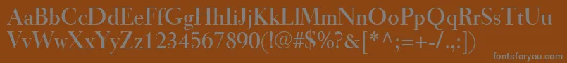 フォントTiemannRoman – 茶色の背景に灰色の文字