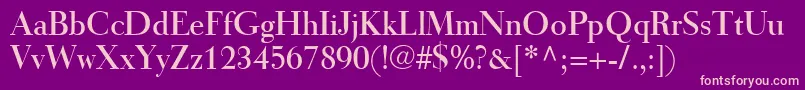TiemannRoman Font – Pink Fonts on Purple Background