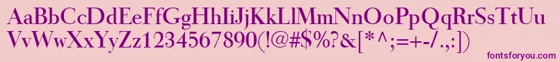 TiemannRoman Font – Purple Fonts on Pink Background