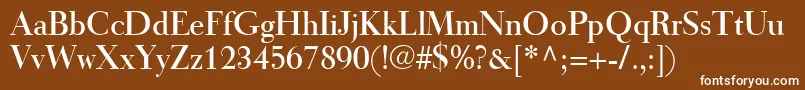 TiemannRoman Font – White Fonts on Brown Background
