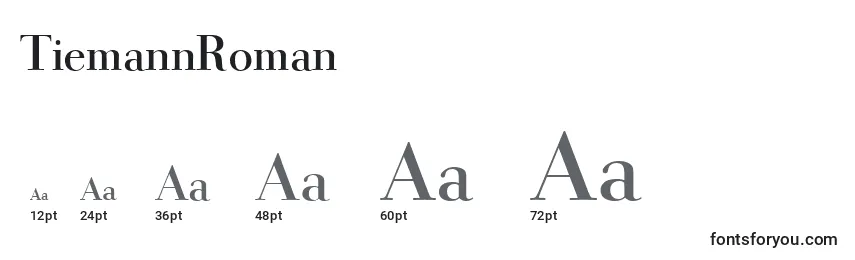 Размеры шрифта TiemannRoman