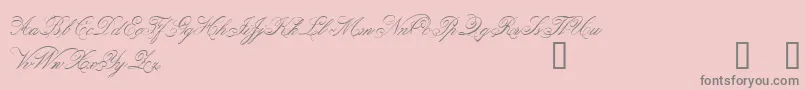 Belphebe Font – Gray Fonts on Pink Background