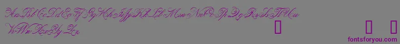 Belphebe-Schriftart – Violette Schriften auf grauem Hintergrund