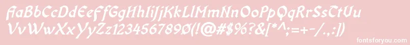 OldaniaadfstdBolditalic Font – White Fonts on Pink Background