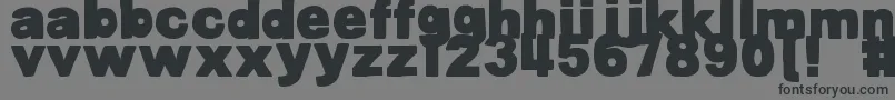 DjbBellyButtonInnie Font – Black Fonts on Gray Background