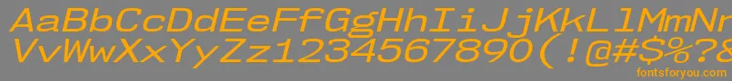 Nk57MonospaceExRgIt Font – Orange Fonts on Gray Background