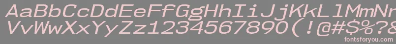 Nk57MonospaceExRgIt Font – Pink Fonts on Gray Background