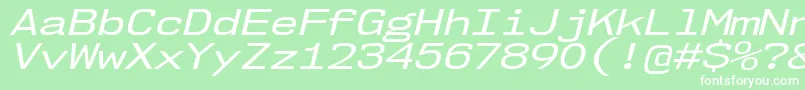 Nk57MonospaceExRgIt Font – White Fonts on Green Background