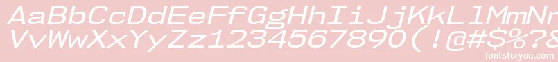 Nk57MonospaceExRgIt Font – White Fonts on Pink Background