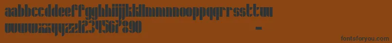 Schrofer Font – Black Fonts on Brown Background