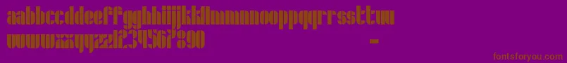 Czcionka Schrofer – brązowe czcionki na fioletowym tle
