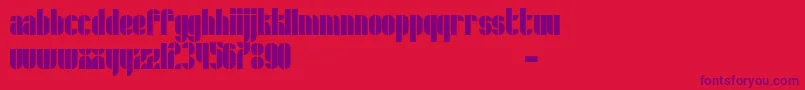 Schrofer Font – Purple Fonts on Red Background