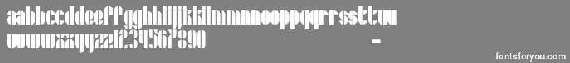 Schrofer-fontti – valkoiset fontit harmaalla taustalla