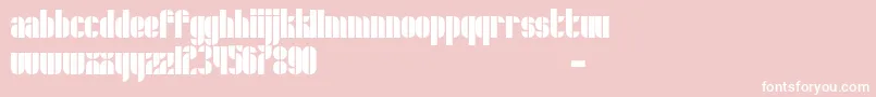 Schrofer-Schriftart – Weiße Schriften auf rosa Hintergrund