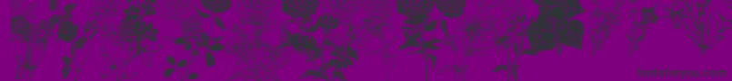 DtFlowers1-fontti – mustat fontit violetilla taustalla