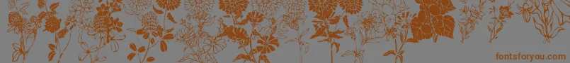 DtFlowers1 Font – Brown Fonts on Gray Background
