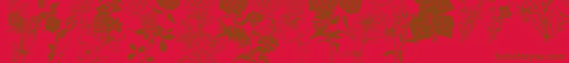 Czcionka DtFlowers1 – brązowe czcionki na czerwonym tle