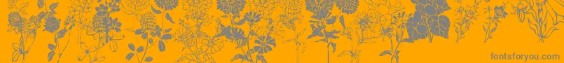 DtFlowers1-Schriftart – Graue Schriften auf orangefarbenem Hintergrund