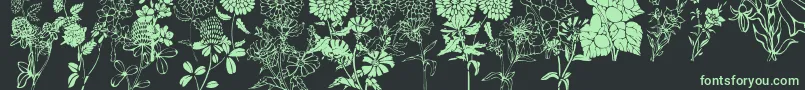 DtFlowers1-Schriftart – Grüne Schriften auf schwarzem Hintergrund