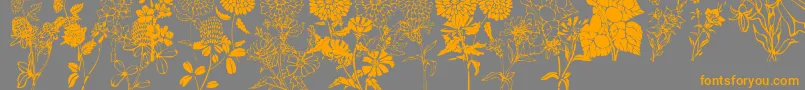 Czcionka DtFlowers1 – pomarańczowe czcionki na szarym tle