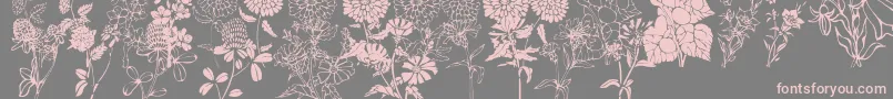 Czcionka DtFlowers1 – różowe czcionki na szarym tle