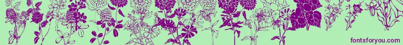 DtFlowers1 Font – Purple Fonts on Green Background