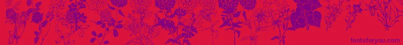 DtFlowers1-Schriftart – Violette Schriften auf rotem Hintergrund