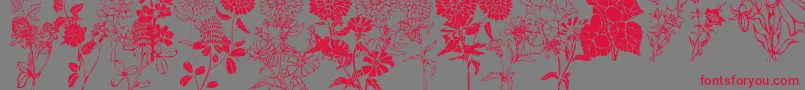 フォントDtFlowers1 – 赤い文字の灰色の背景