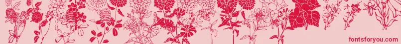 Czcionka DtFlowers1 – czerwone czcionki na różowym tle