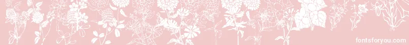 Czcionka DtFlowers1 – białe czcionki na różowym tle