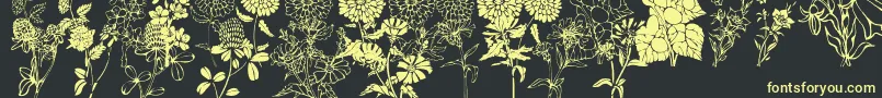 DtFlowers1-Schriftart – Gelbe Schriften auf schwarzem Hintergrund