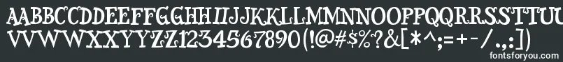 SnidelyRegular Font – White Fonts on Black Background