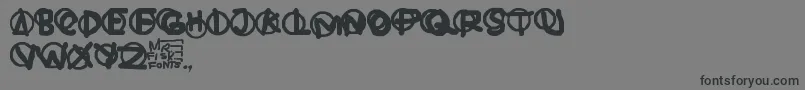 Hardware Font – Black Fonts on Gray Background