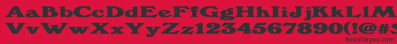 Windsordemi.FogExBold Font – Black Fonts on Red Background