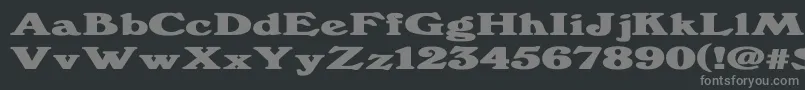 Windsordemi.FogExBold Font – Gray Fonts on Black Background