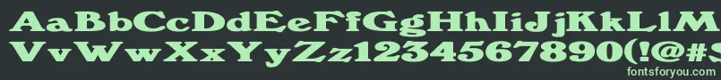 Windsordemi.FogExBold Font – Green Fonts on Black Background