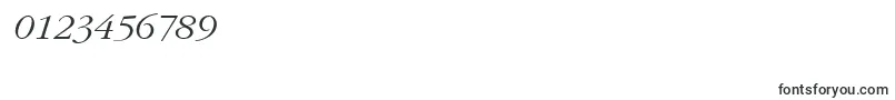 PfgaramondtextItalic-Schriftart – Schriften für Zahlen und Nummern