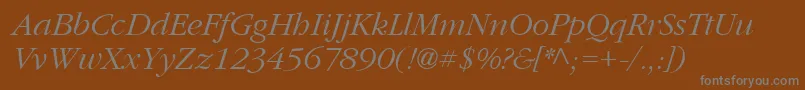 PfgaramondtextItalic Font – Gray Fonts on Brown Background