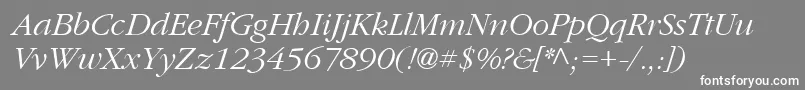 フォントPfgaramondtextItalic – 灰色の背景に白い文字
