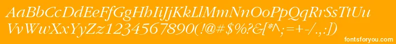 PfgaramondtextItalic Font – White Fonts on Orange Background