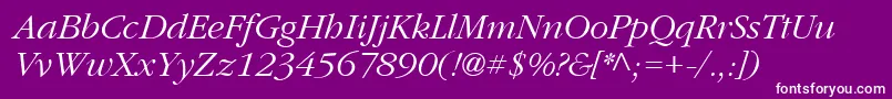 PfgaramondtextItalic Font – White Fonts on Purple Background