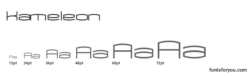 Размеры шрифта Kameleon