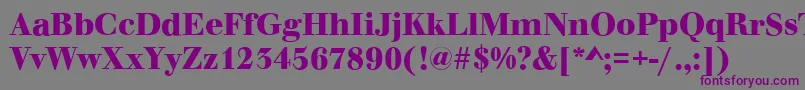 WalbaumOriginalBold Font – Purple Fonts on Gray Background