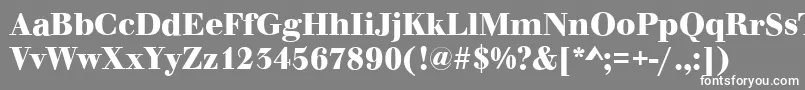 フォントWalbaumOriginalBold – 灰色の背景に白い文字