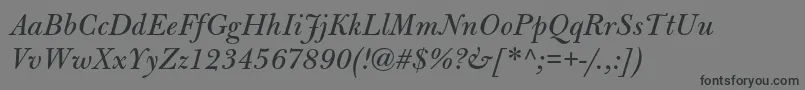 BulmermtstdItalic Font – Black Fonts on Gray Background