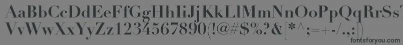DidotltstdBold Font – Black Fonts on Gray Background
