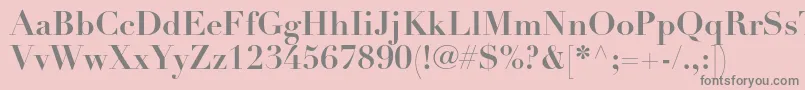 DidotltstdBold Font – Gray Fonts on Pink Background