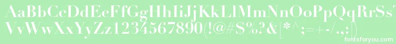 DidotltstdBold Font – White Fonts on Green Background