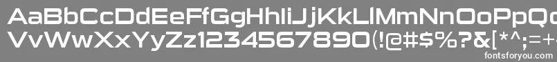 Шрифт SuigenerisrgRegular – белые шрифты на сером фоне