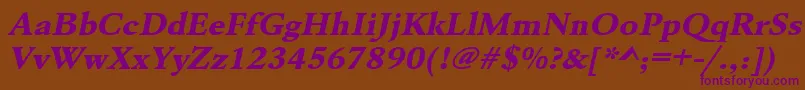 UrwgaramondtextbolextwidOblique Font – Purple Fonts on Brown Background